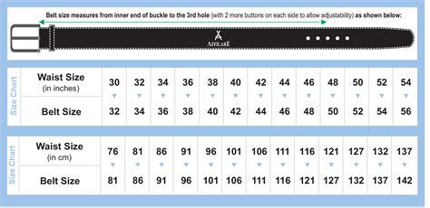 bottega belt size chart